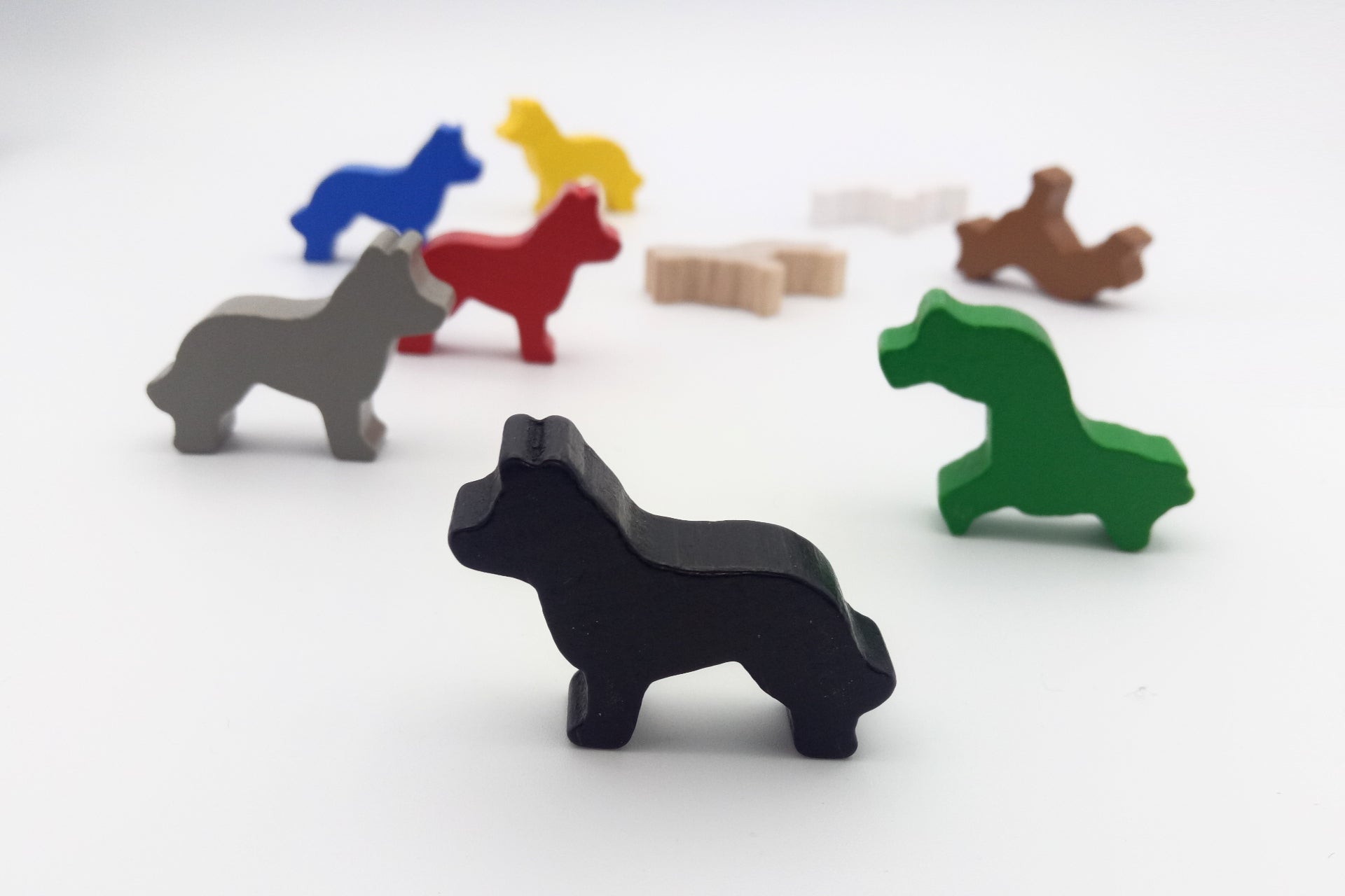 Dog-white