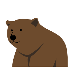 Bear Token