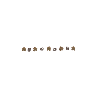 Set game pieces for Castles of Burgundy