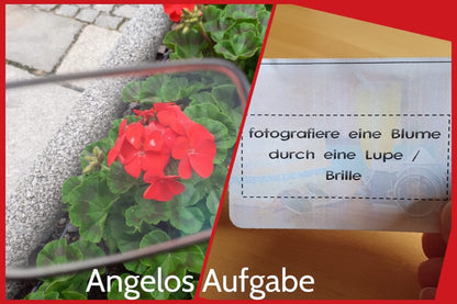 Photo game "Vacation"