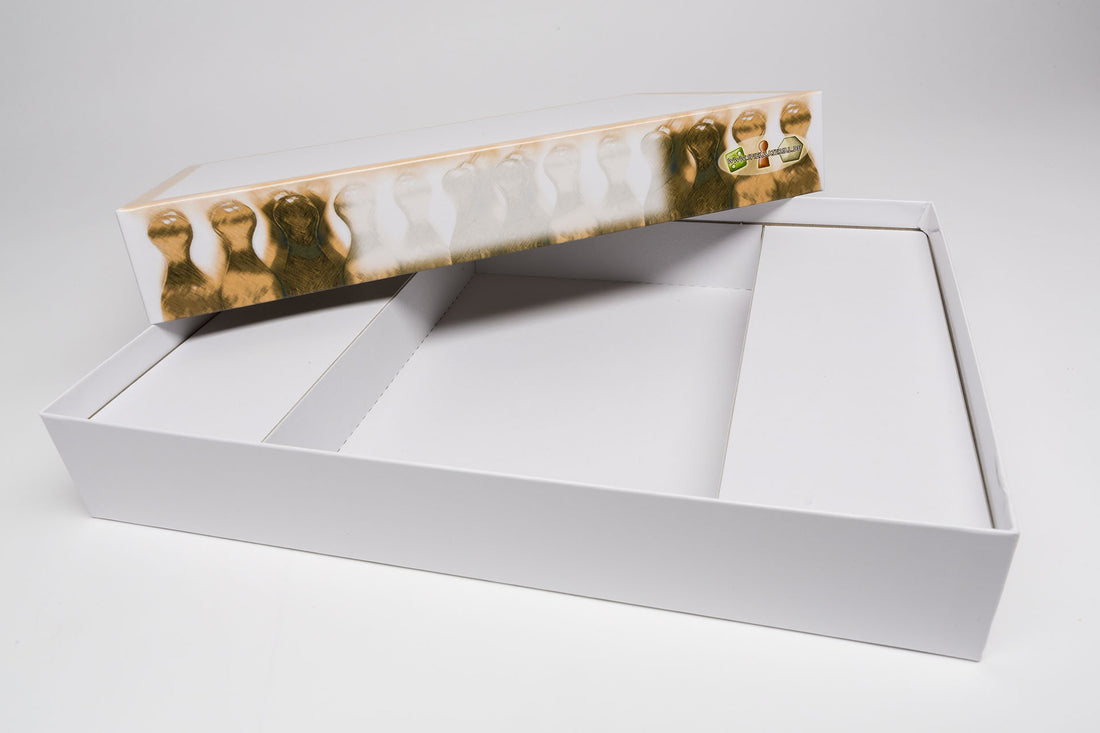 Einsatz Spielekarton 317 x 230 x 50 mm K0004c