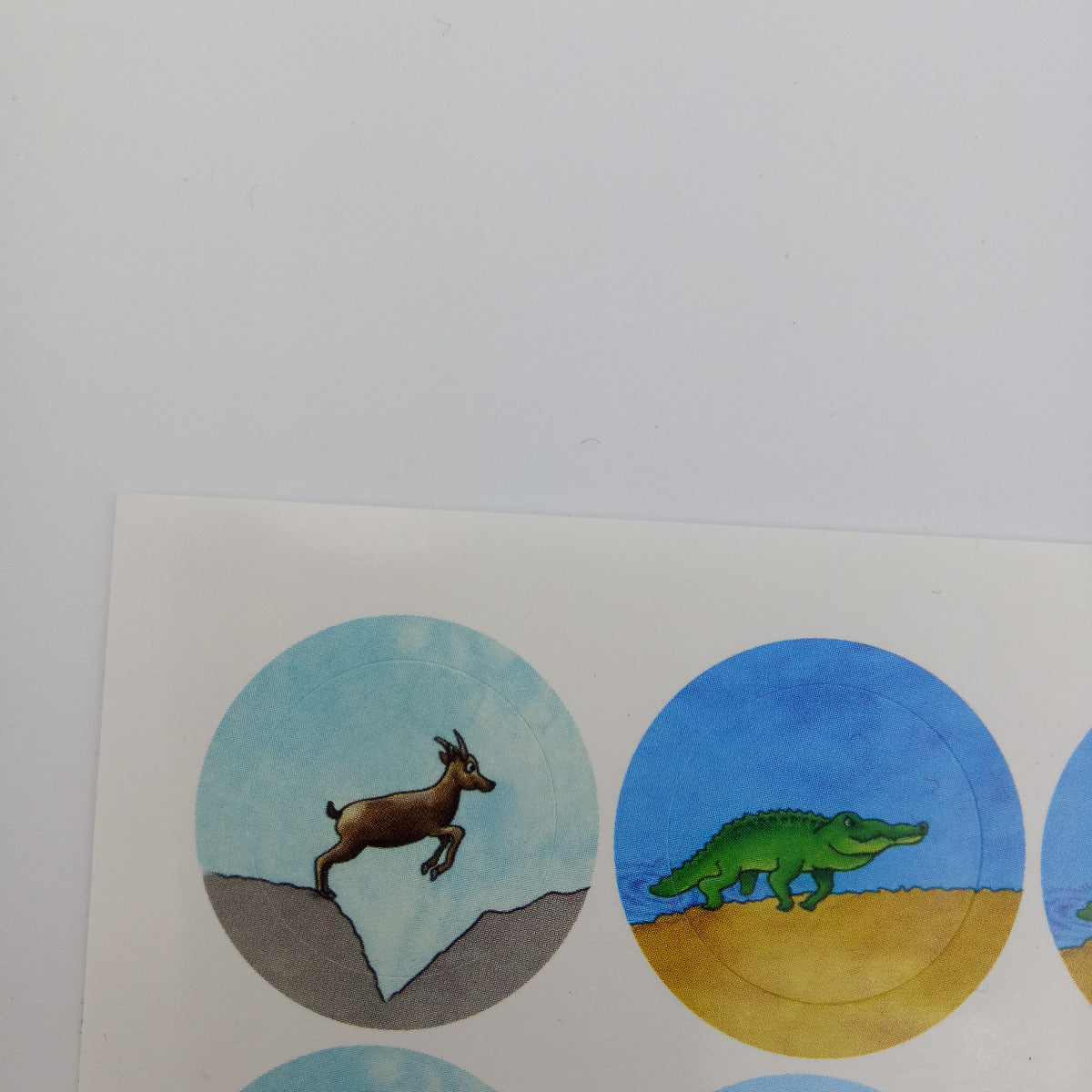 Labels with animals