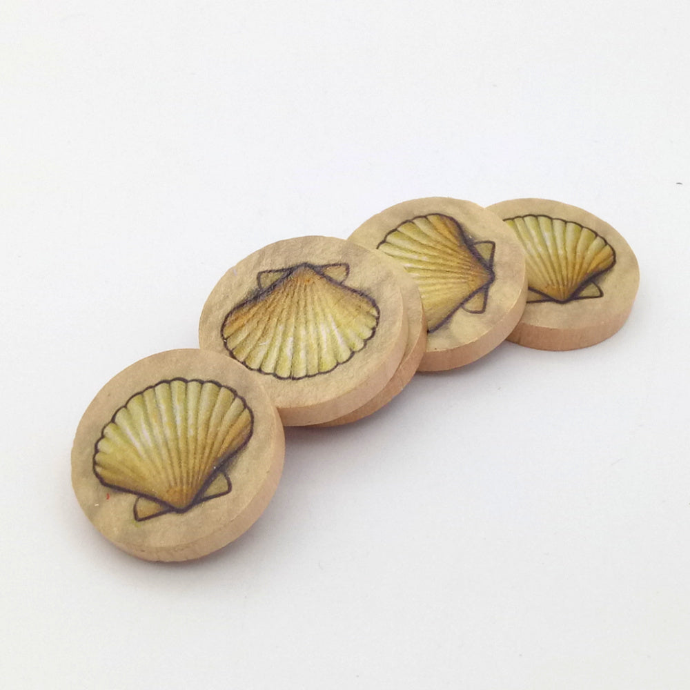 Discs sea shell