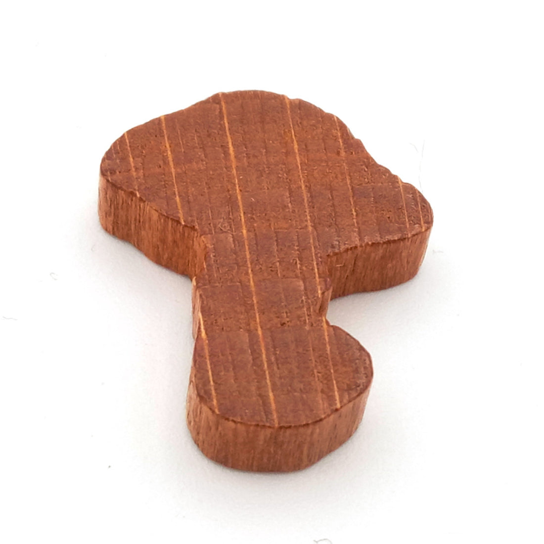 Mushroom from Reykholt