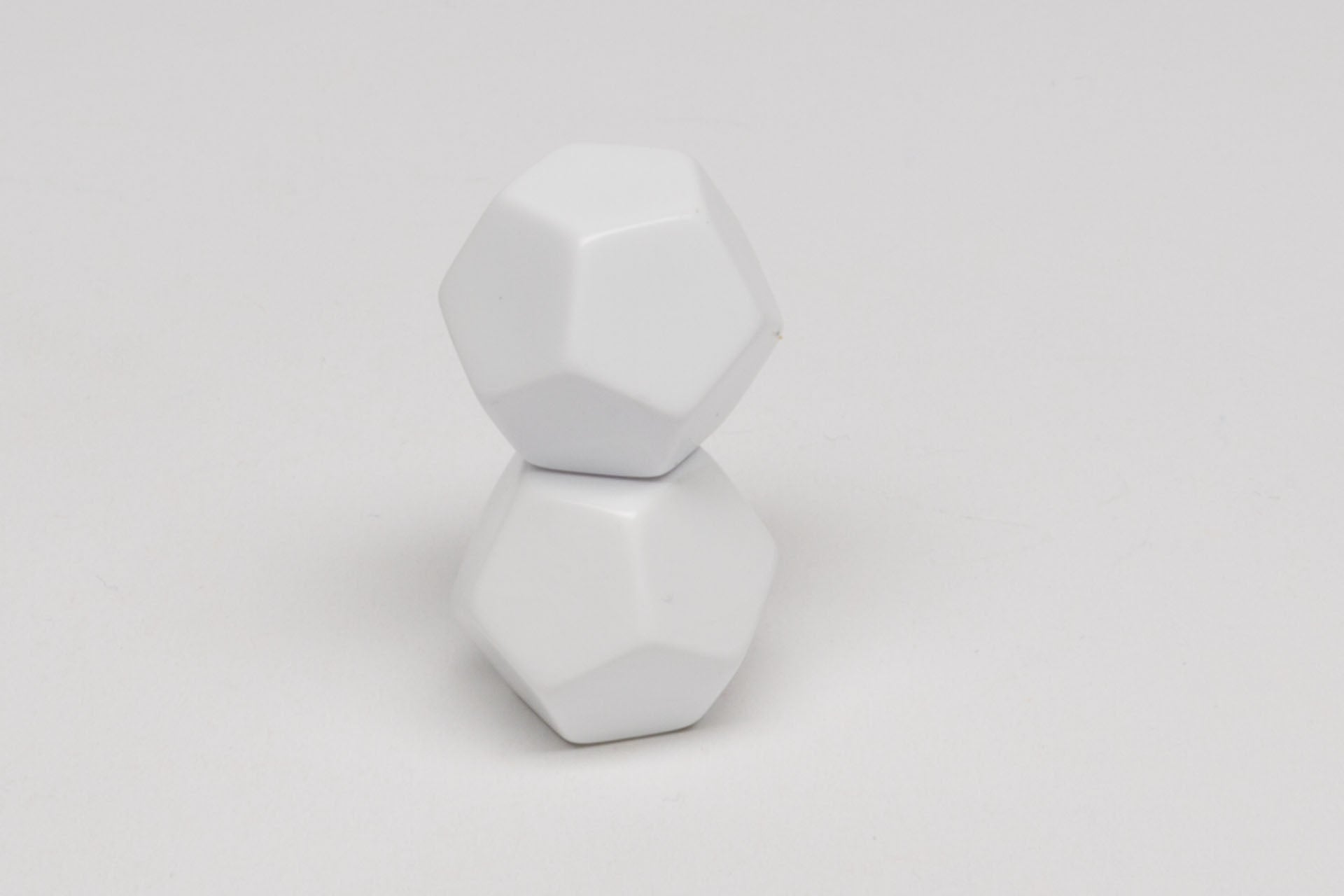 12-sided blank dice