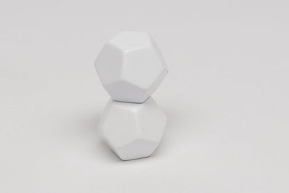 12-sided blank dice
