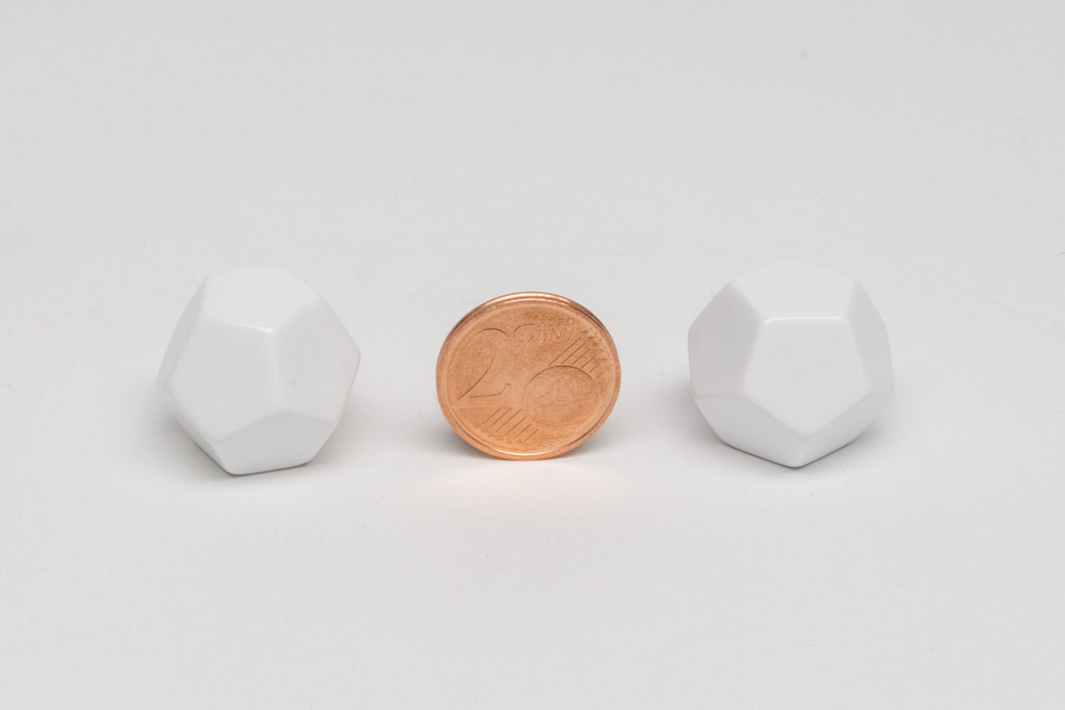 12-sided blank dice