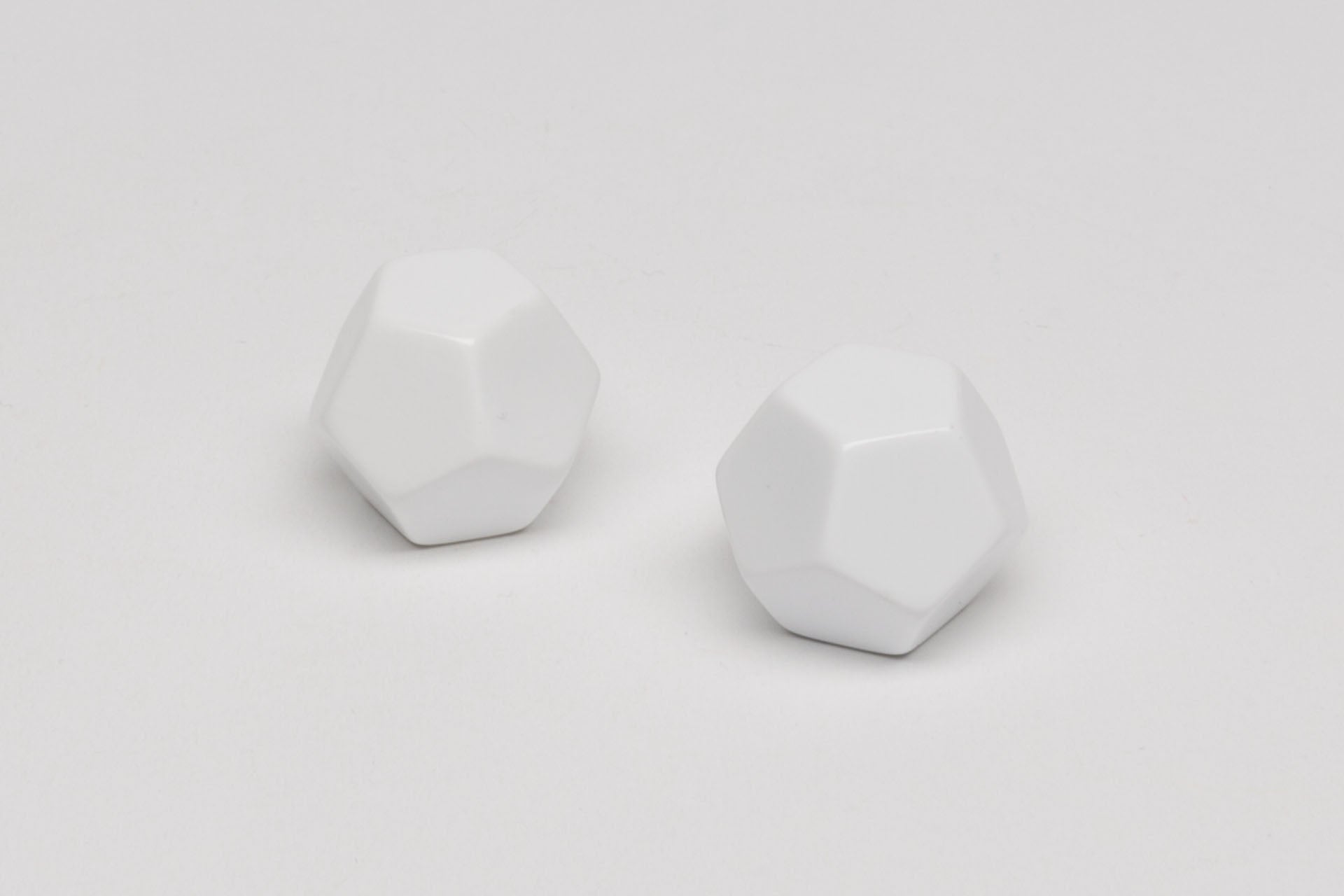 12-sided blank dice