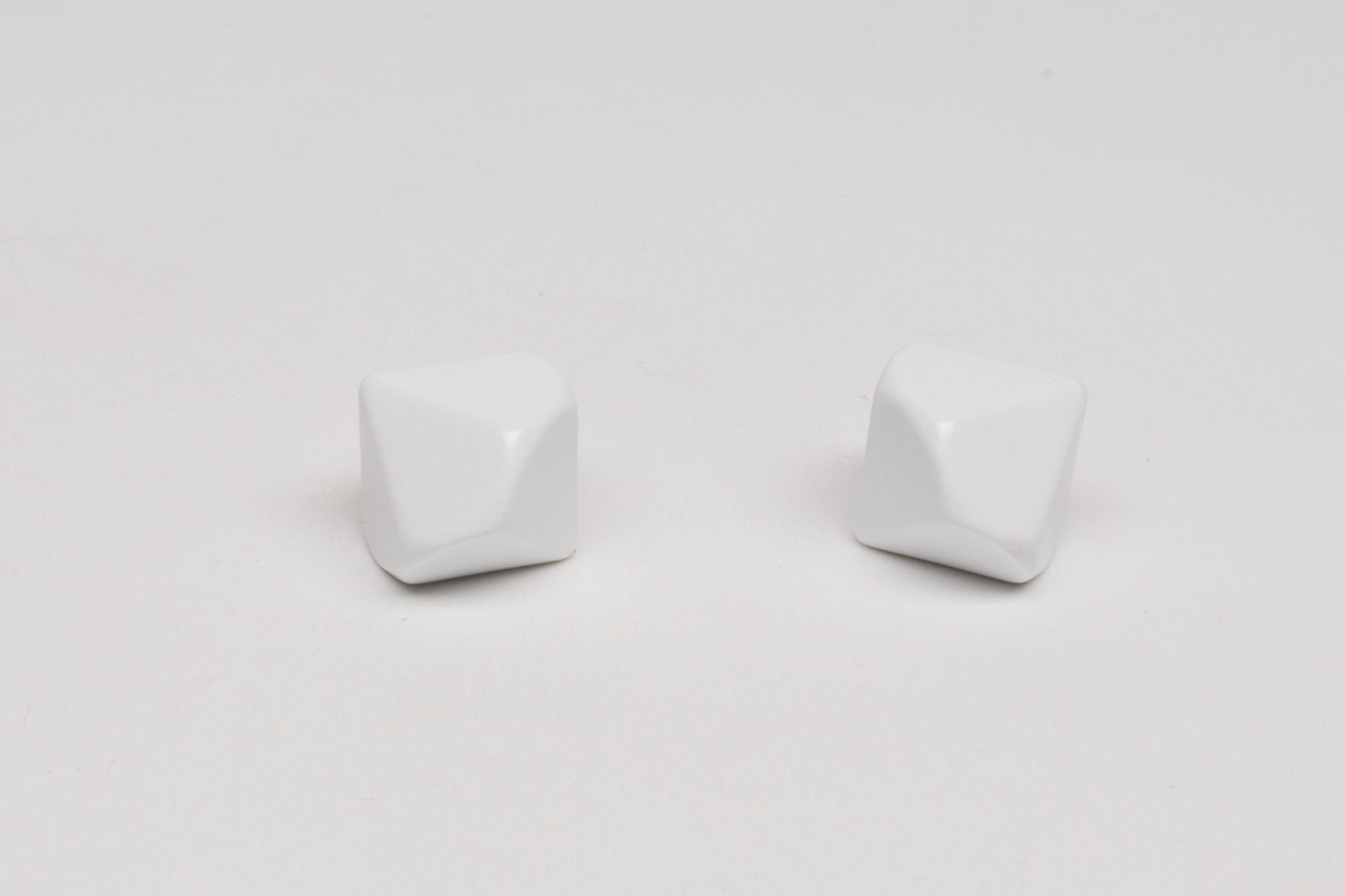 10-sided blank dice