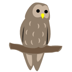 Owl Token
