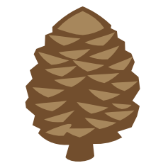 Pine cone Token