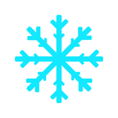 Snowflake Token