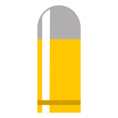 Bullet Token