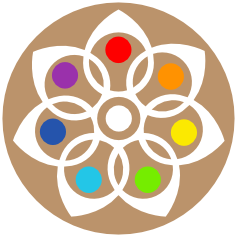 Transzendence Token