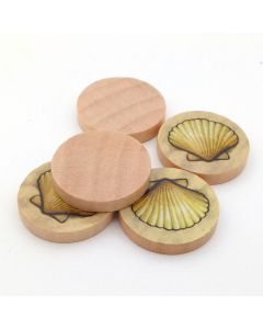 Discs sea shell